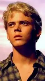 ai character: Ponyboy Curtis  background