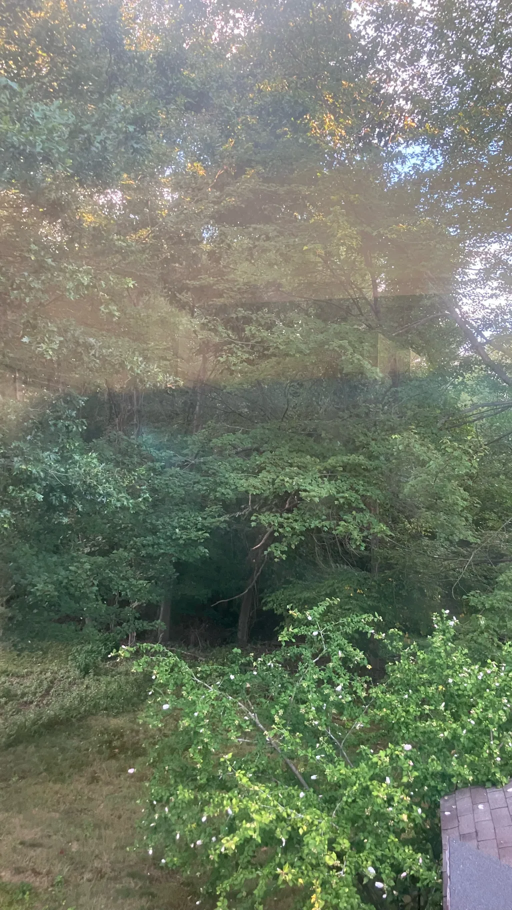 ai character: Nature background