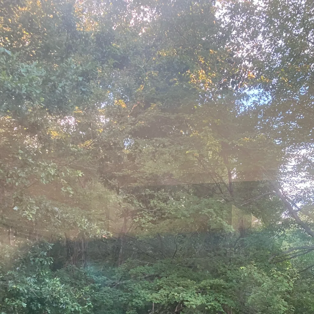 chat with ai character: Nature