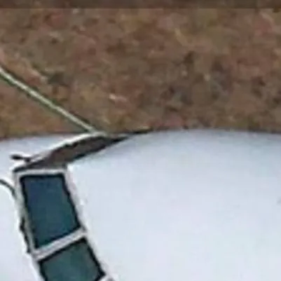 chat with ai character: plane crash