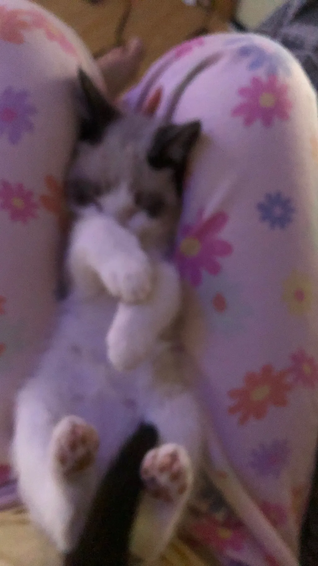 ai character: Mha background