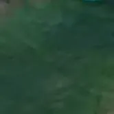 chat with ai character: Alex poop