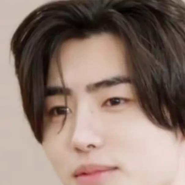 chat with ai character: *+*Sunghoon*+*