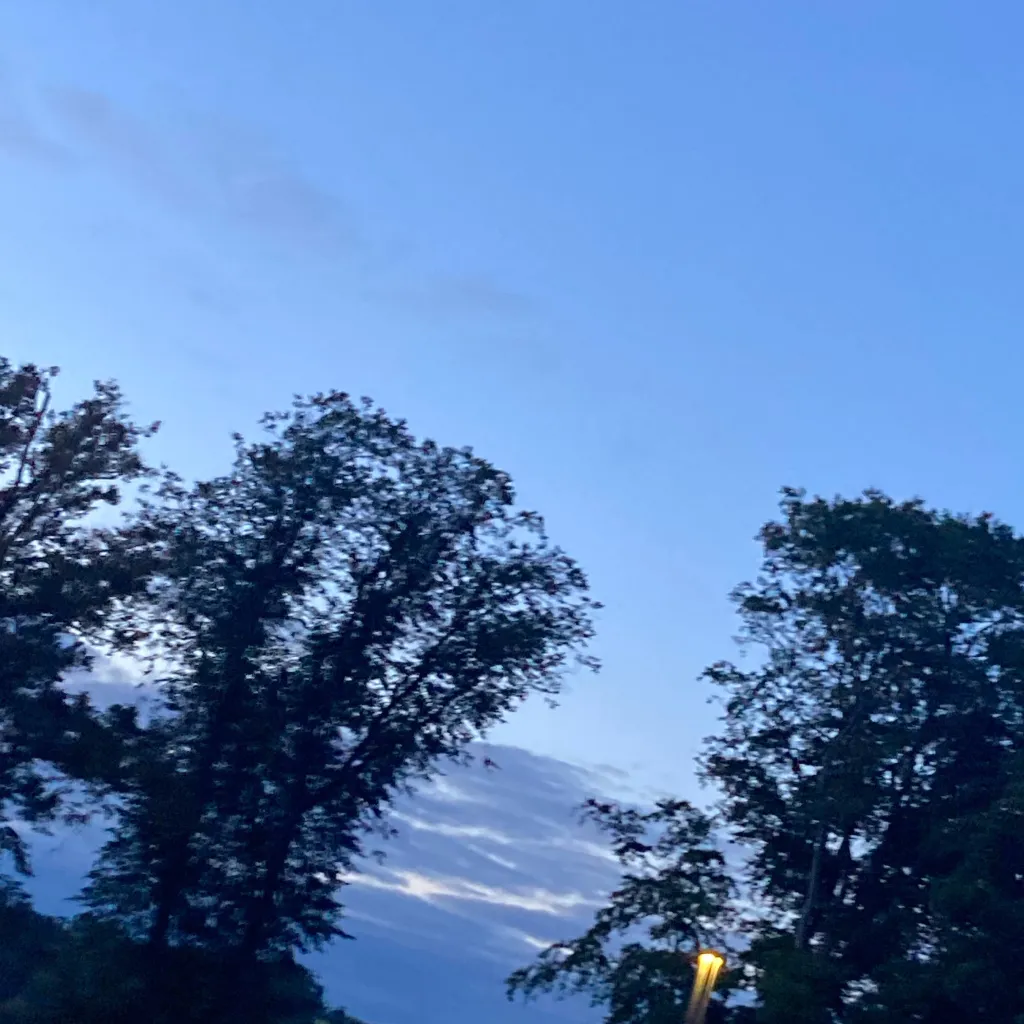 chat with ai character: Dream smp woods