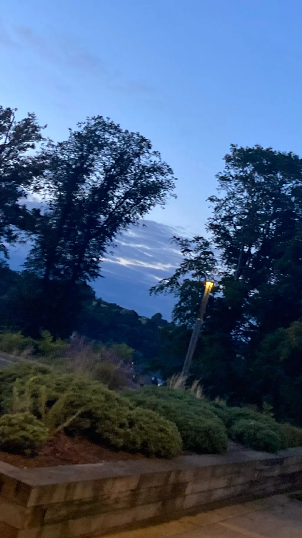 ai character: Dream smp woods background