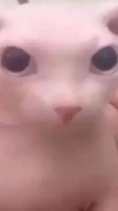 ai character: XMAS SLEEPOVER background