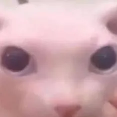 chat with ai character: XMAS SLEEPOVER