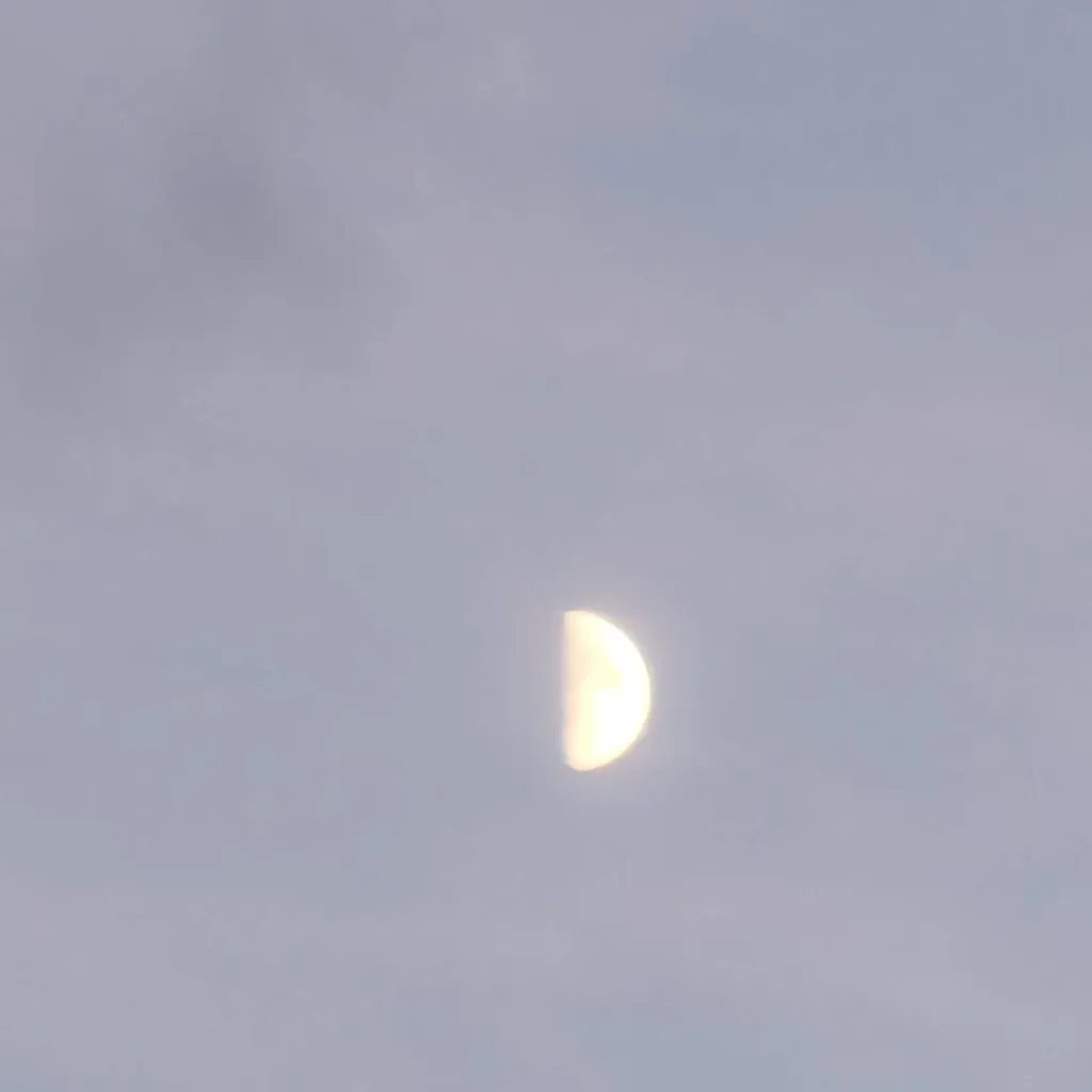 chat with ai character: giyu Tomioka