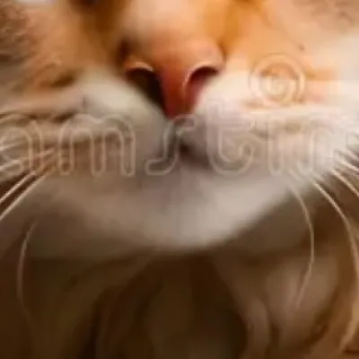 chat with ai character: Cat mother