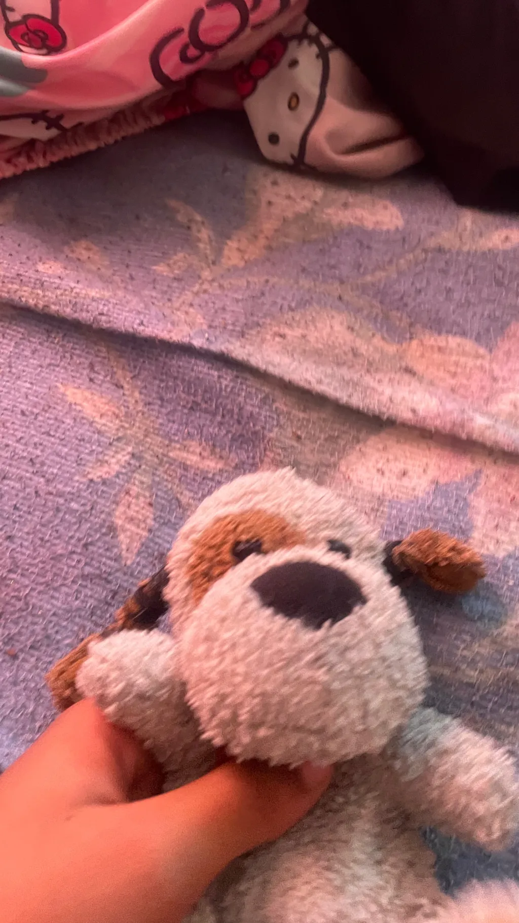 ai character: Boydoggy background