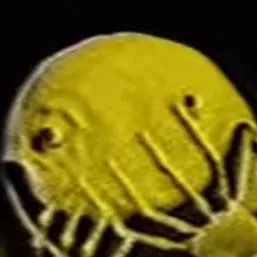 chat with ai character: pac-man horror