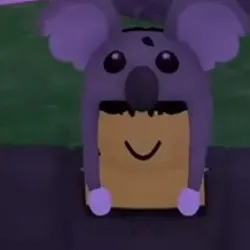 chat with ai character: Koala kid ￼￼