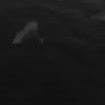 chat with ai character: Quick sand