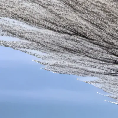 chat with ai character: Slytherin gang