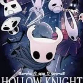 chat with ai character: hollow knight