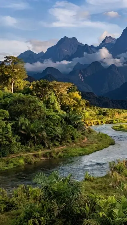 Talkie AI - Chat with Wildlife Reserve