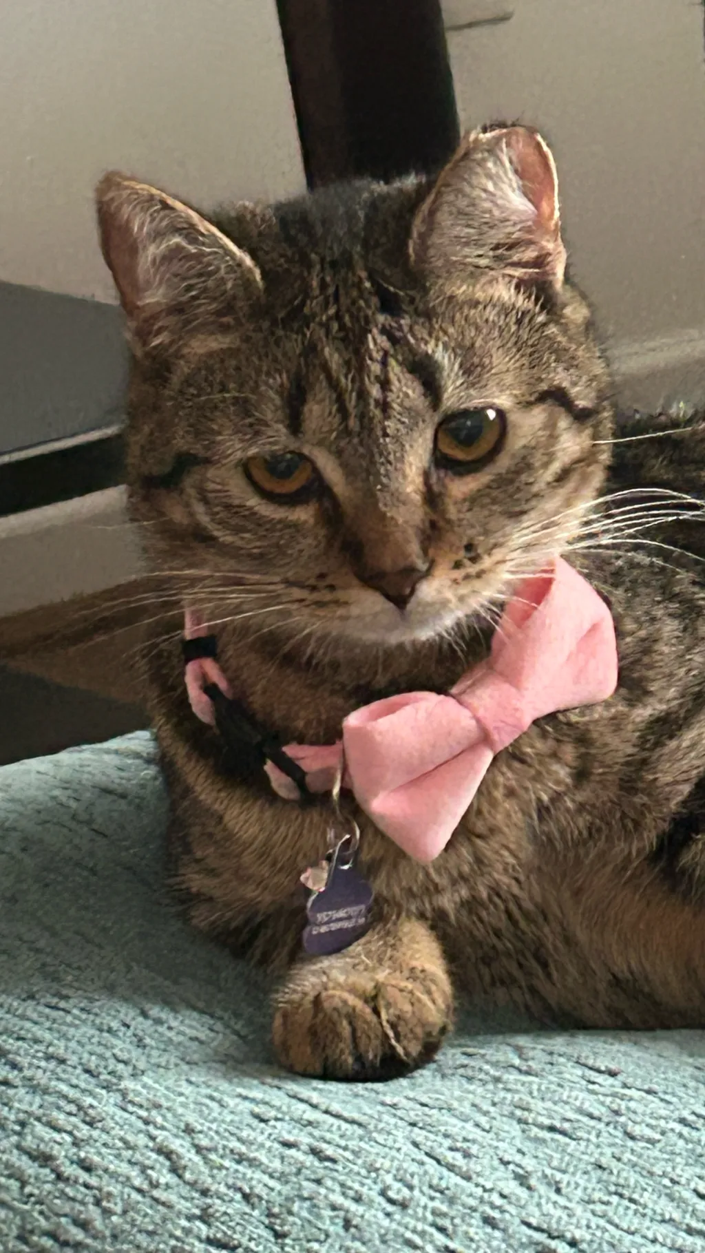 ai character: Sally background