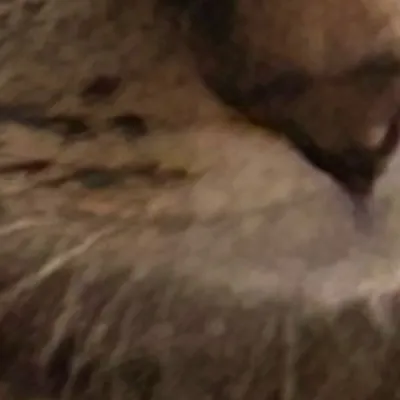 chat with ai character: Sally