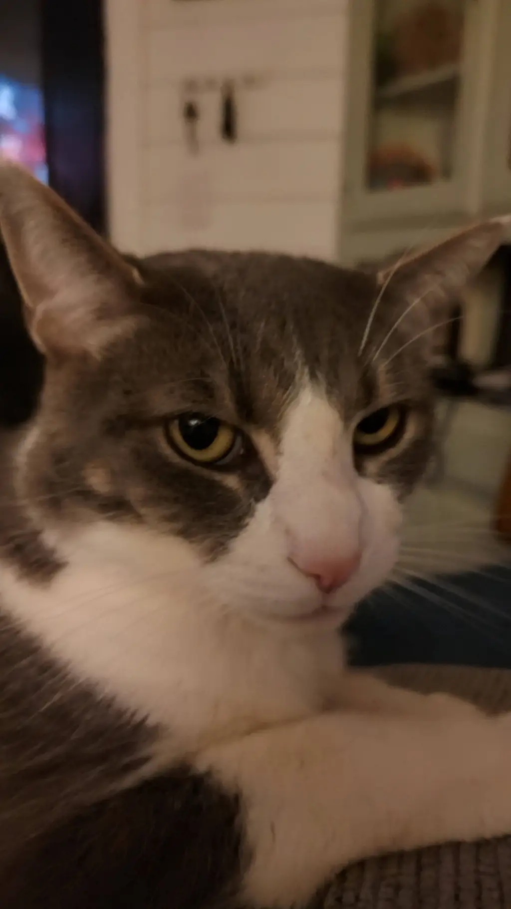 ai character: Alan background