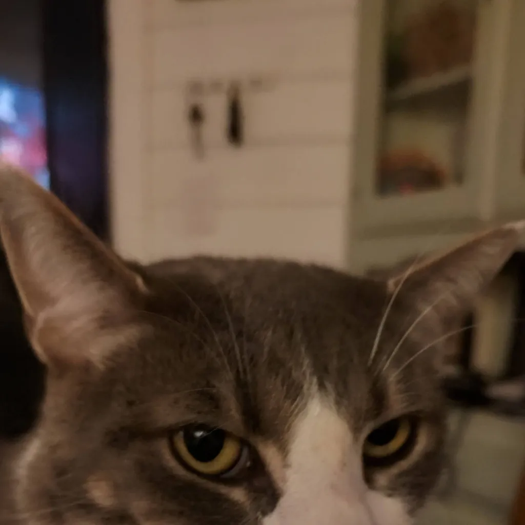 chat with ai character: Alan