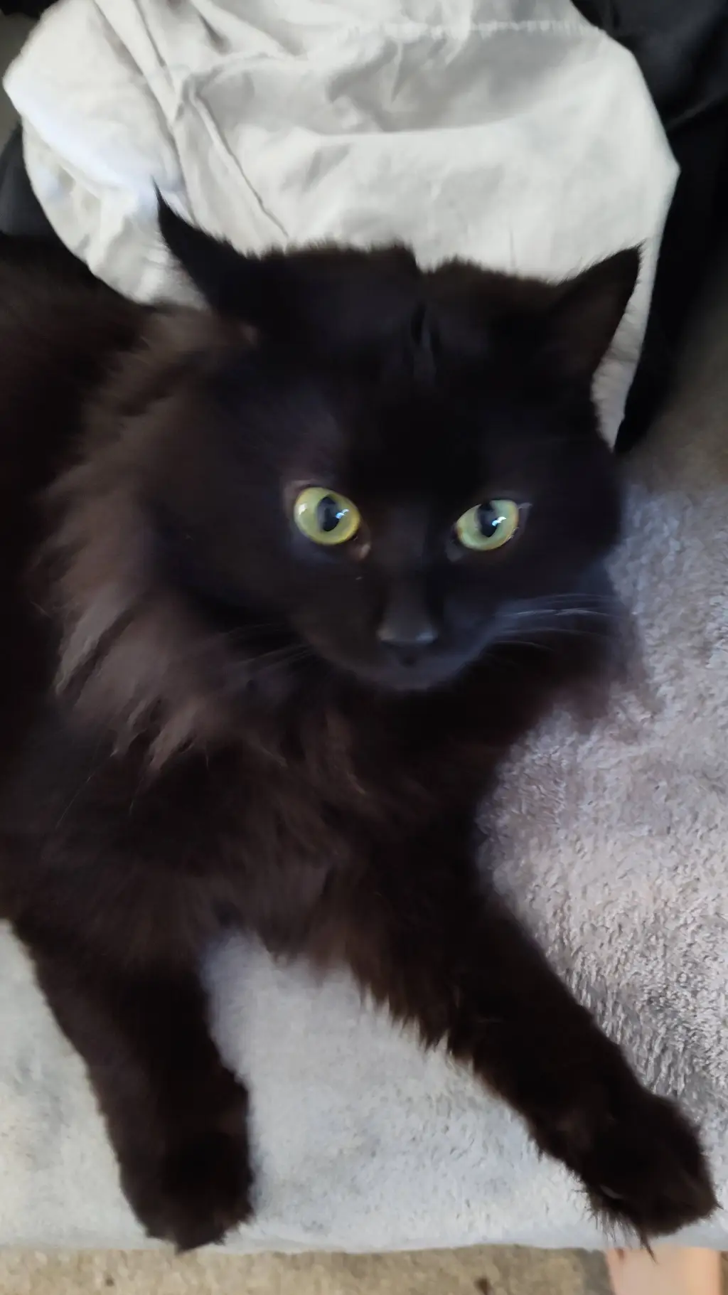 ai character: senior background