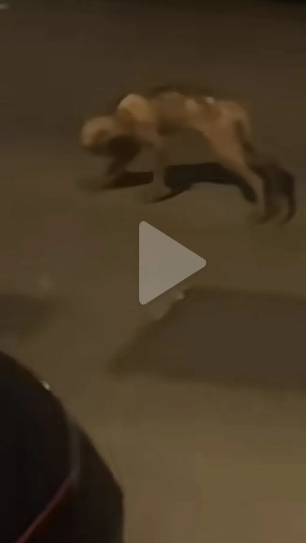 ai character: Skinwalker background