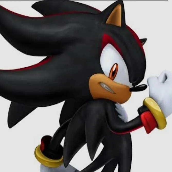 chat with ai character: SHADOW T. HEDGEHOG