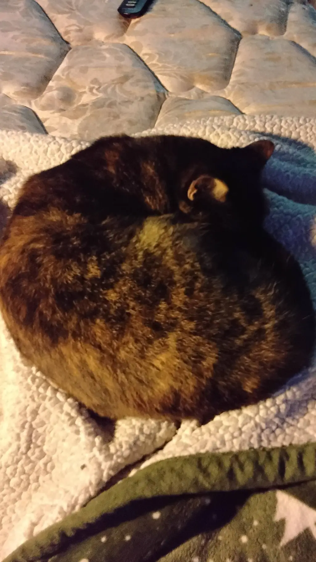 ai character: ninja  background