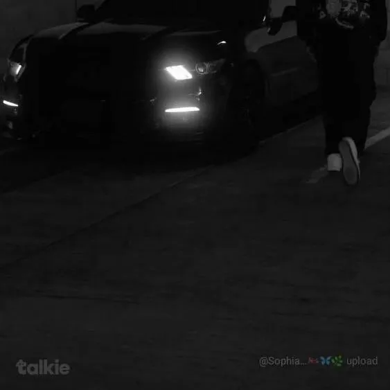 chat with ai character: aylin 