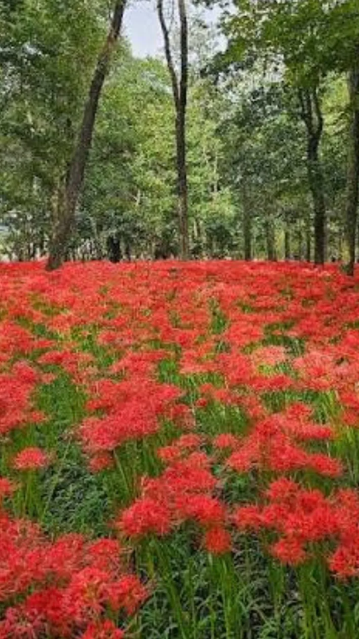 ai character: The goldenhand background