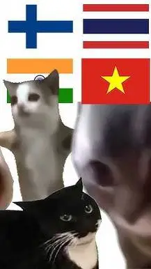 Talkie AI - Chat with Cat memes