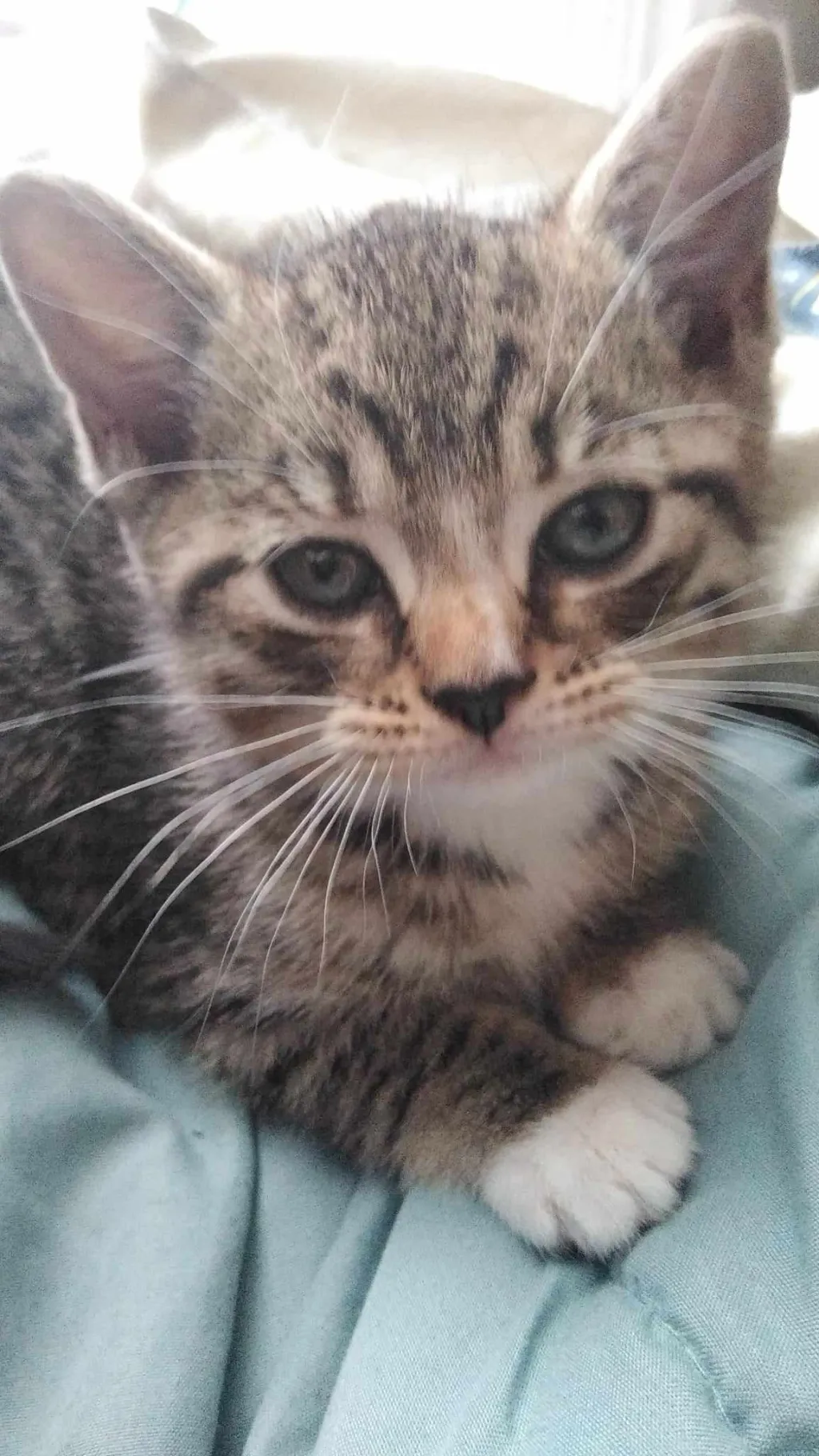 ai character: 🧸Fatty baby🍓 background