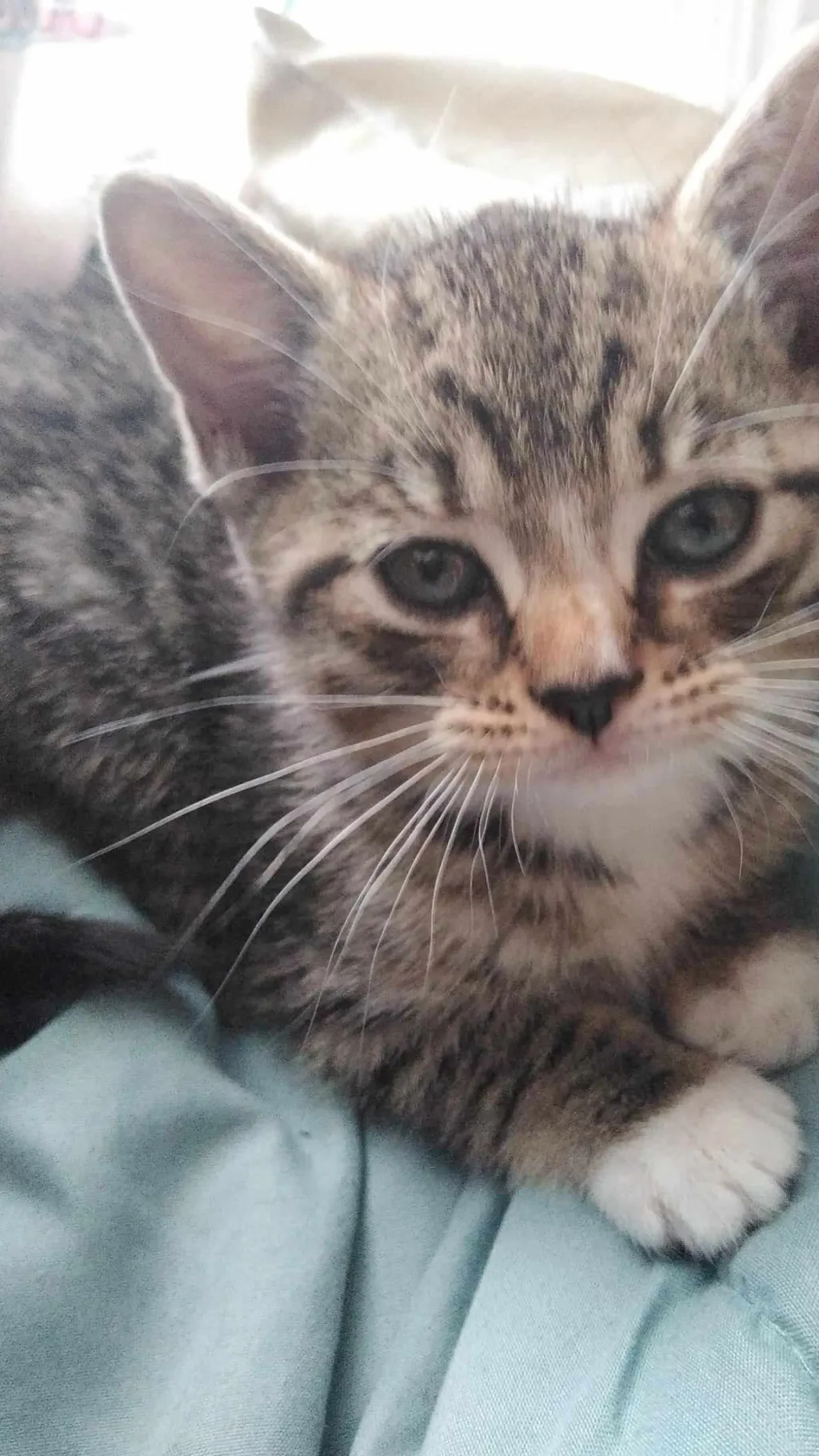 ai character: 🍓baby fatty🪐 background