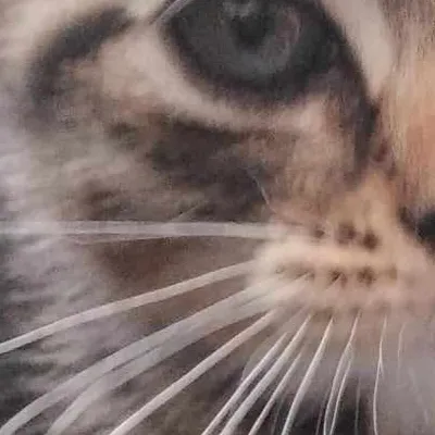 chat with ai character: 🍓baby fatty🪐