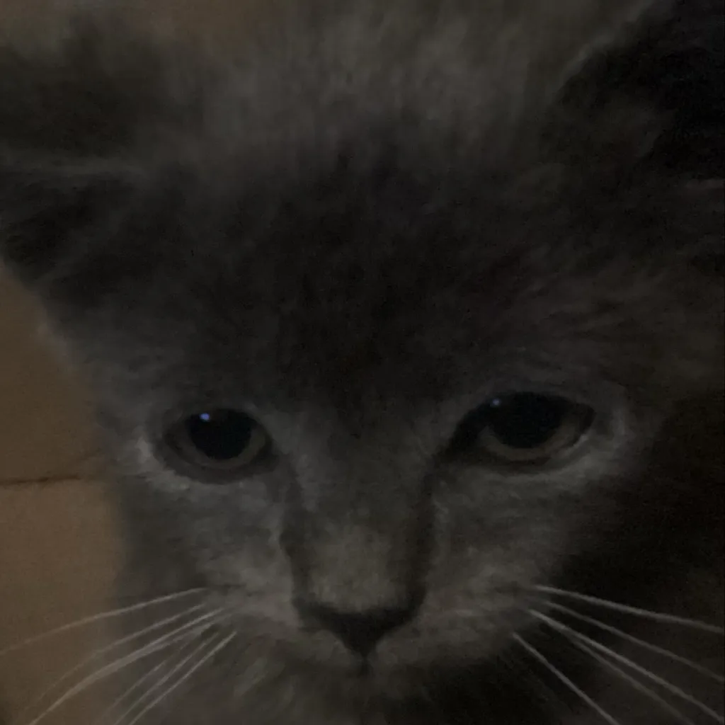 chat with ai character: Smokey..