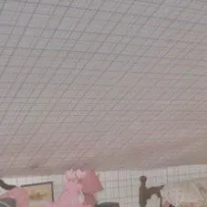 chat with ai character: *.+Bunny🫖+.*