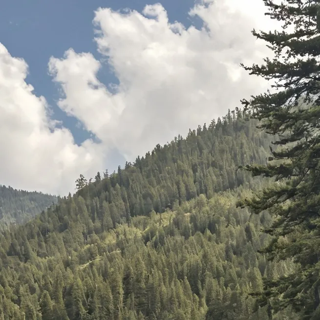 chat with ai character: lilly lulu mike