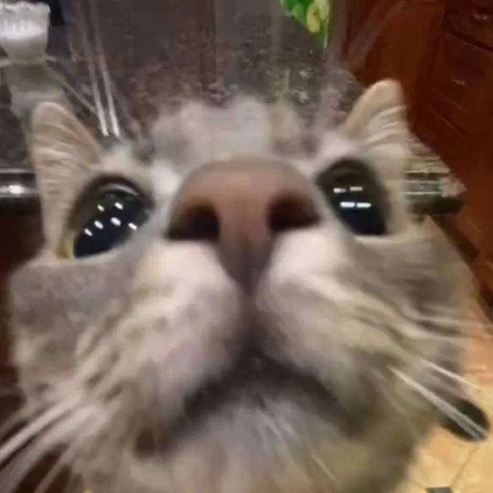 chat with ai character: Your kittycat💗