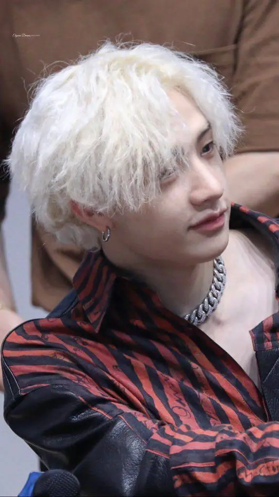 Talkie AI - Chat with Bang Chan