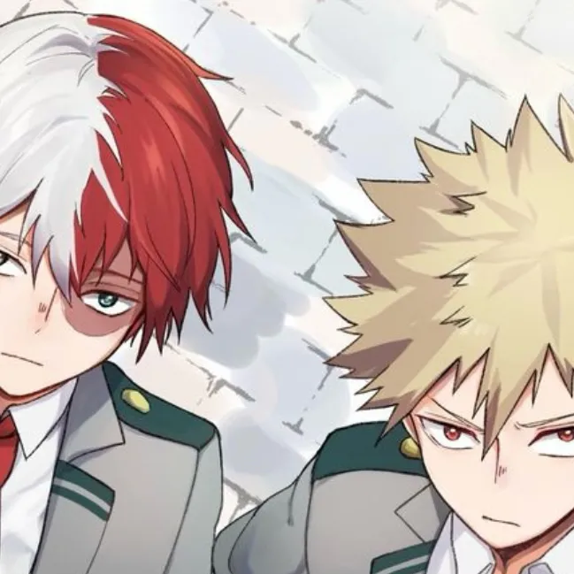 chat with ai character: Shoto bakugo x y/n