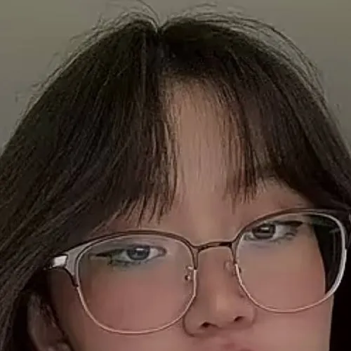 chat with ai character: Alisa