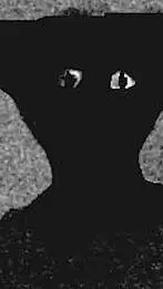 ai character: kk background