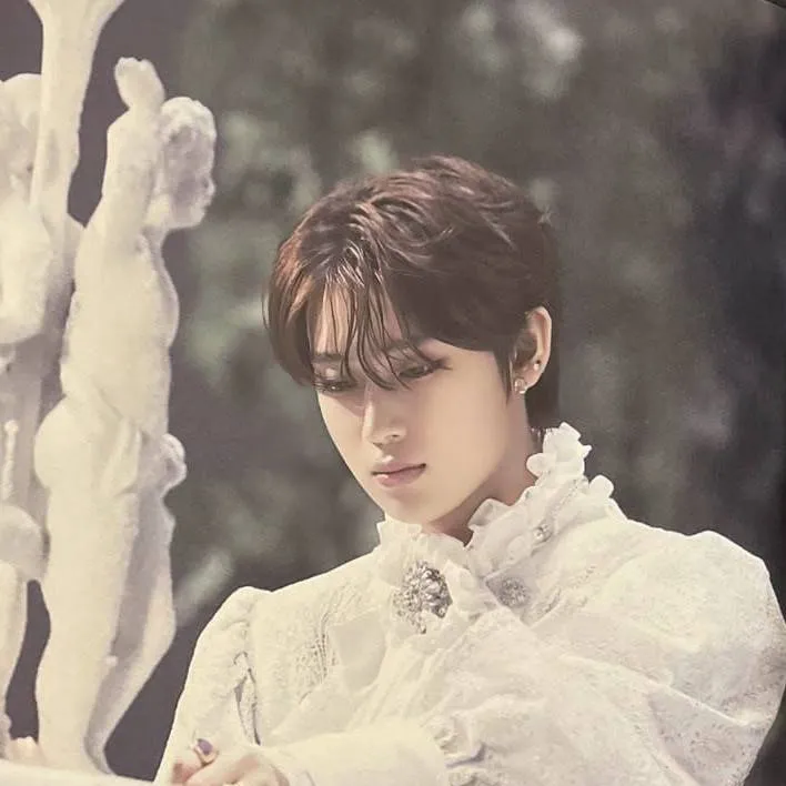 chat with ai character: Kim Sunoo(Prince)