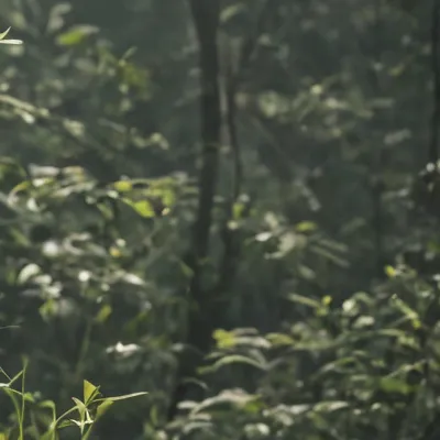 chat with ai character: BBNO$