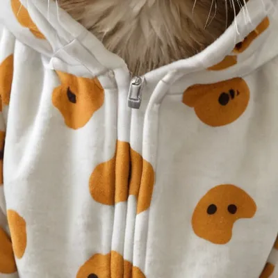 chat with ai character: Cat