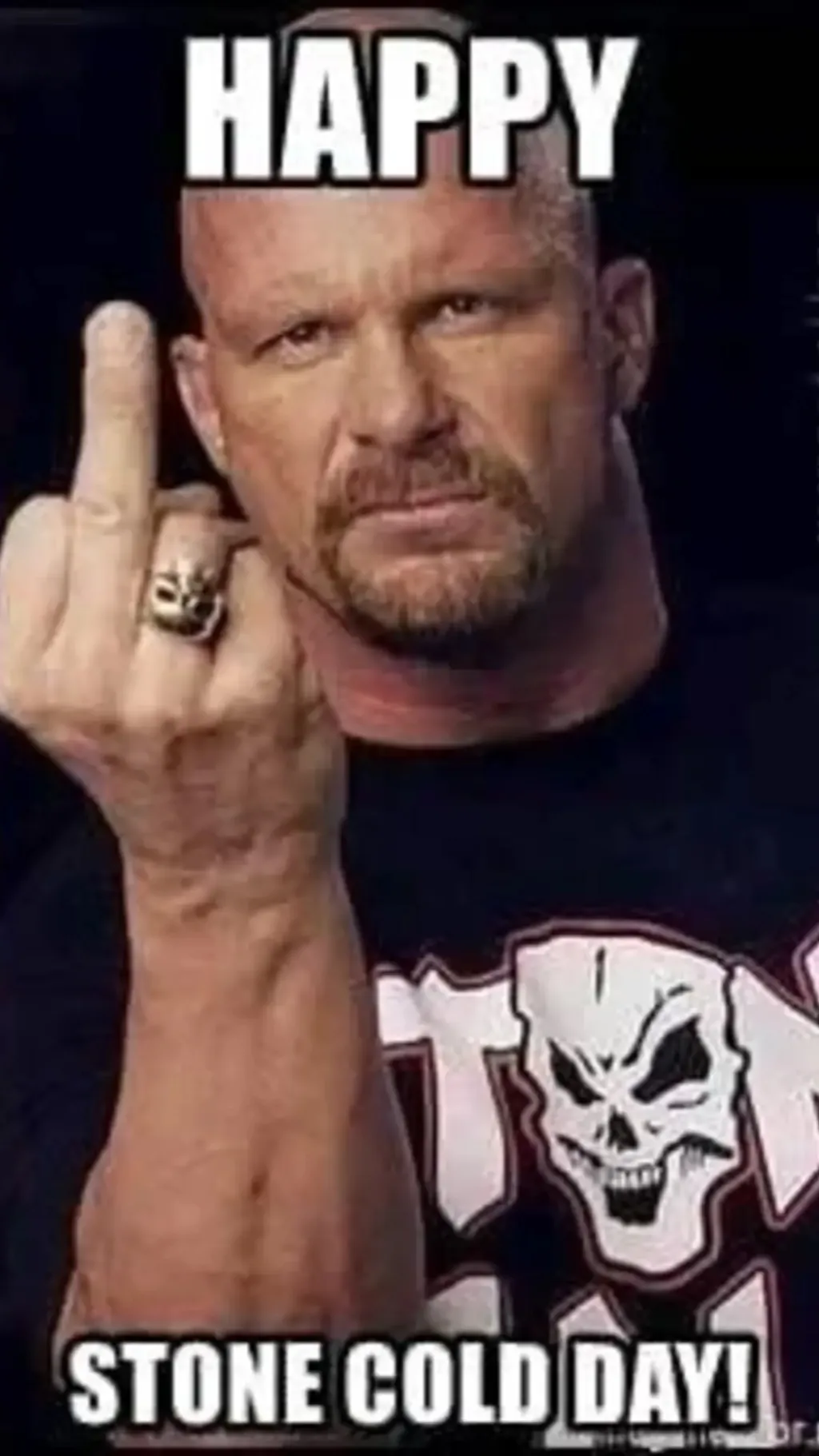 ai character: Stone cold background