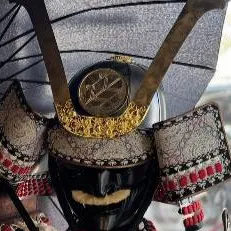 chat with ai character: New Samurai (Kuro)