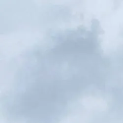 chat with ai character: Parasite 