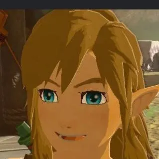 chat with ai character: BOTW Link