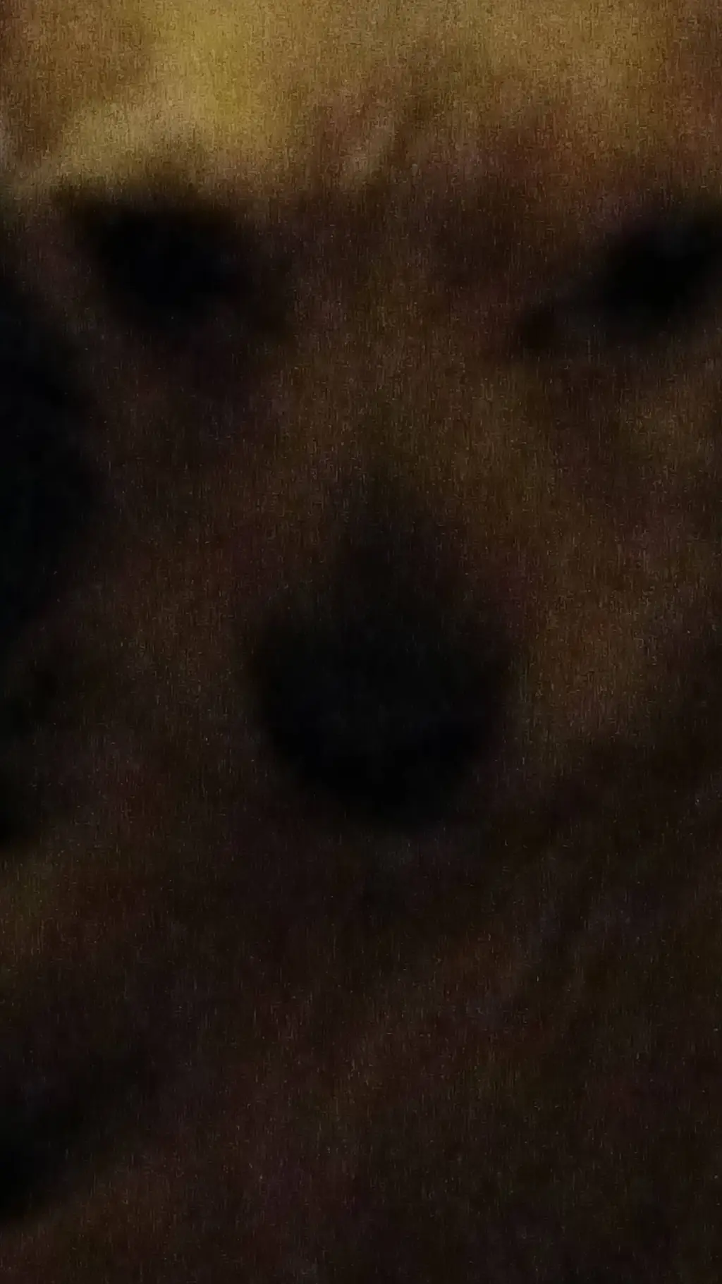 ai character: this is Taco  background